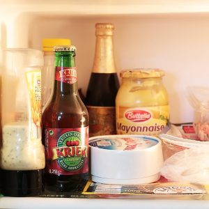 Contents of a Fridge